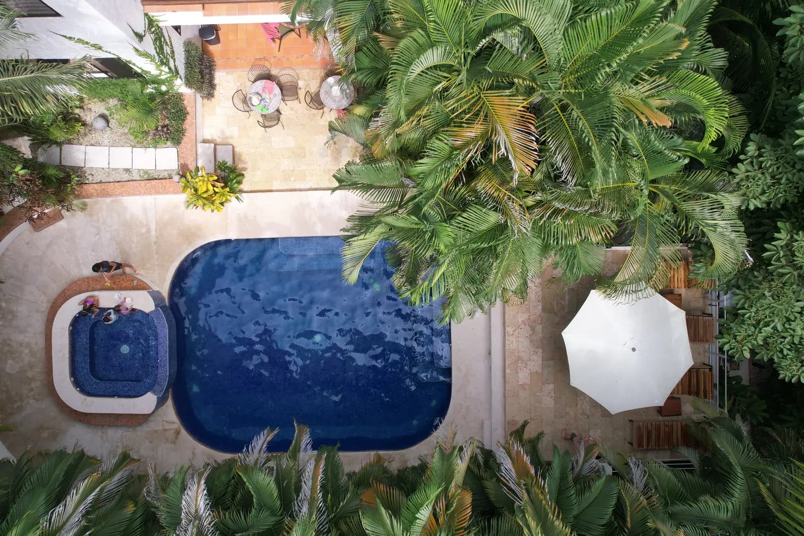 The main pool framed by tropical foliage