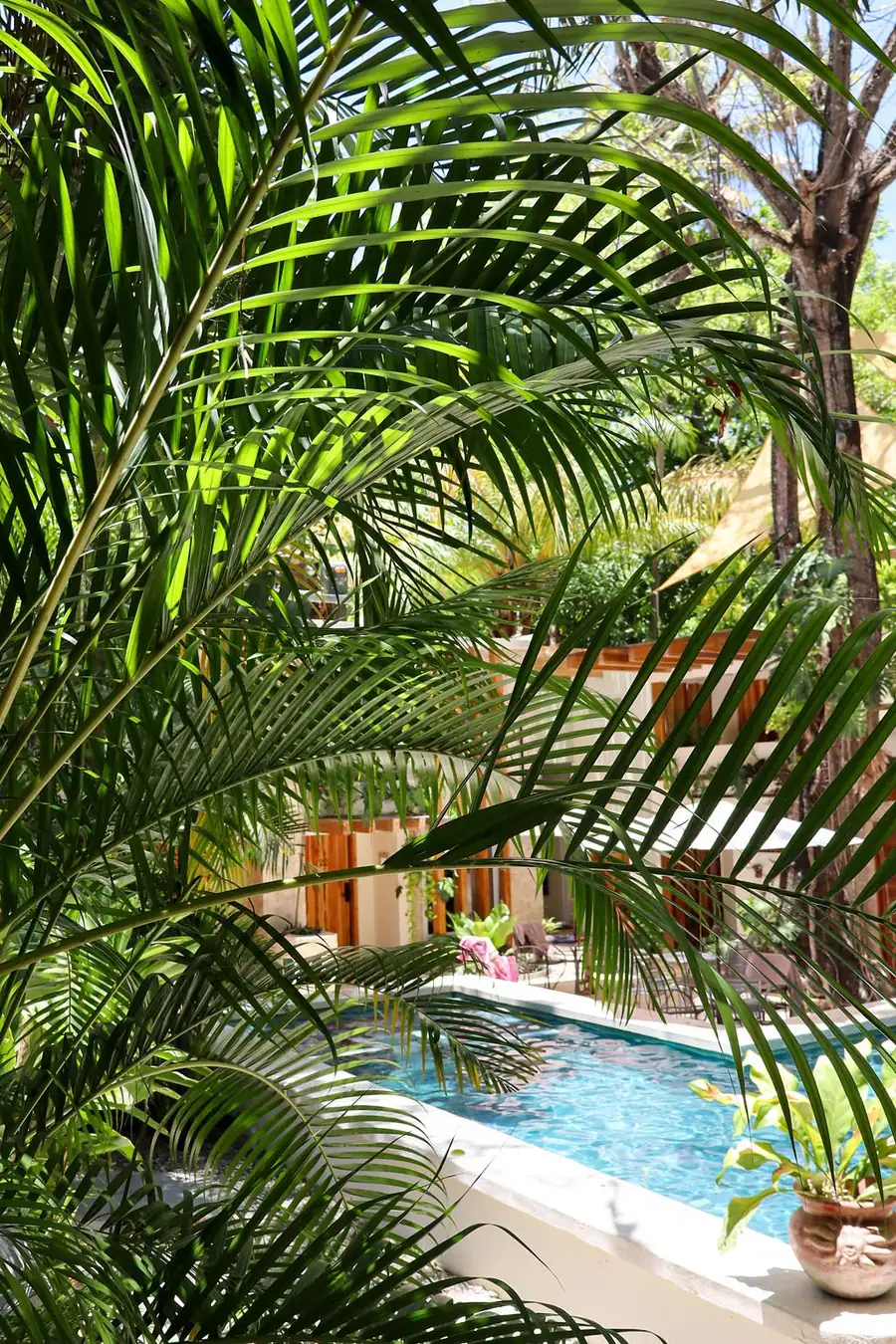 Blue water through the palms