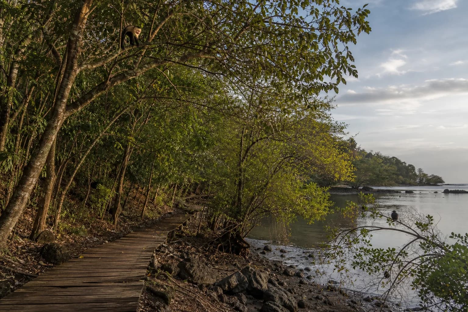 Curú: trails, coast & wildlife